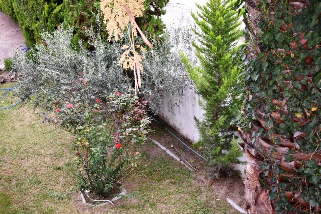 Marinis Boutique Rooms Nea Iraklitsa المظهر الخارجي الصورة